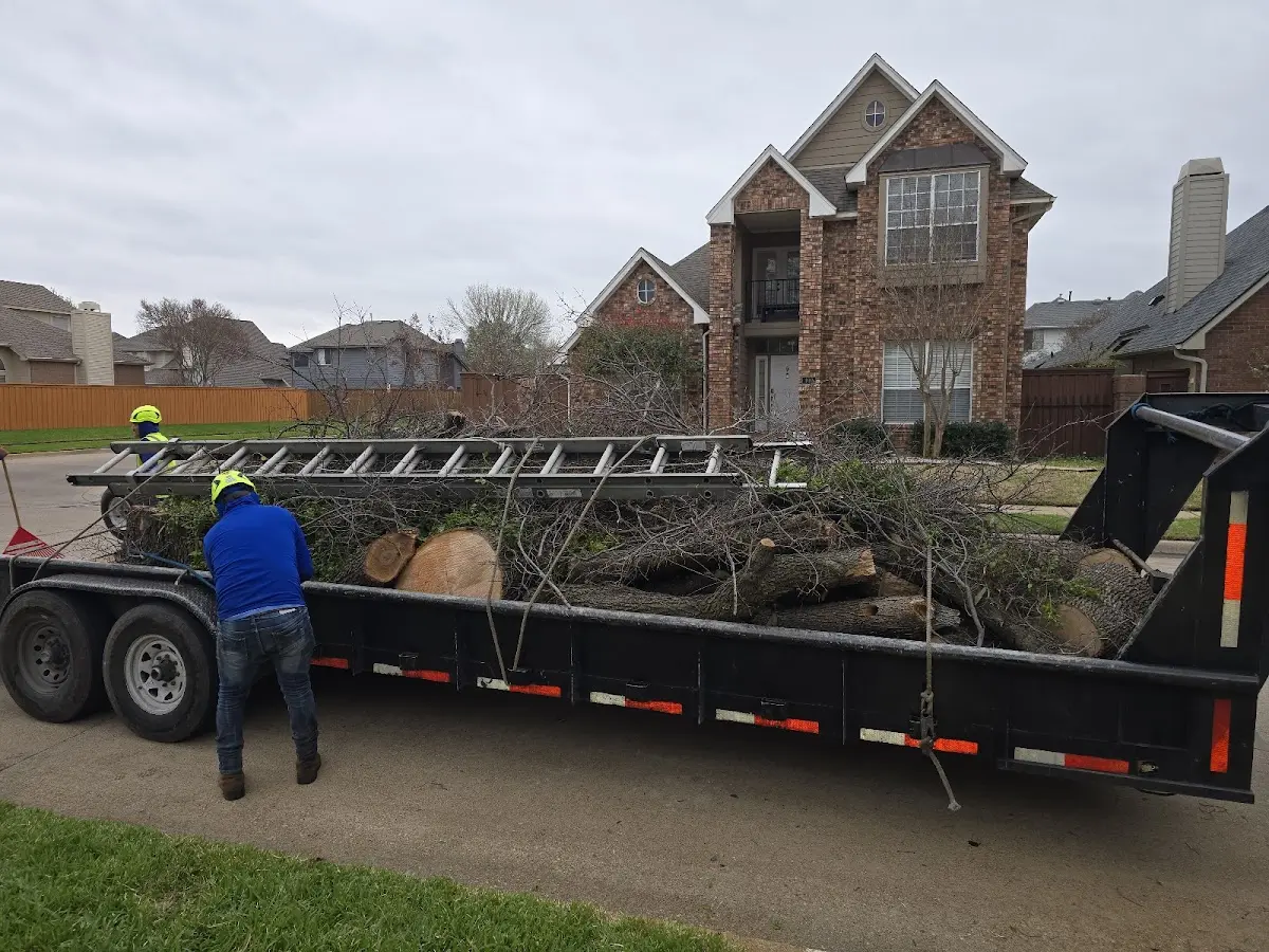 Expert Tree Removal with proper safety equipment in Manns Choice